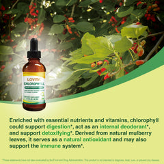 Immune support and liver health illustration