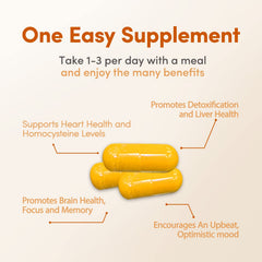 Close-up of Methyl Factors+ ingredients: B vitamins, folate and riboflavin