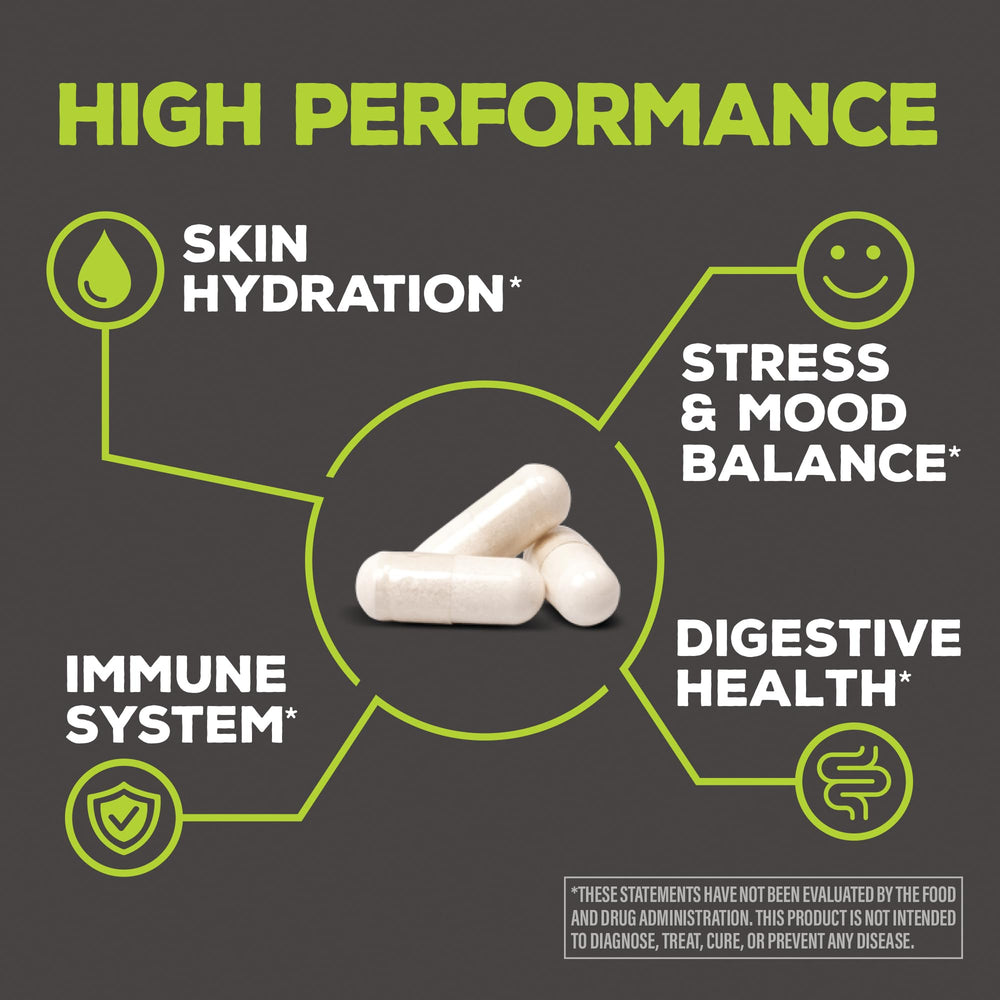 Lpc-37 strain for mood support in probiotic capsule