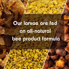 LPWML Bee Ognevka packaging and 1.69 oz bottle