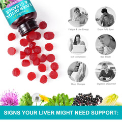 No sugar, non-GMO, gluten-free LTQXGT Liver Gummies Raspberry