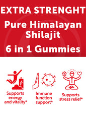 Chaga mushroom and shilajit ingredients graphic for Lunakai