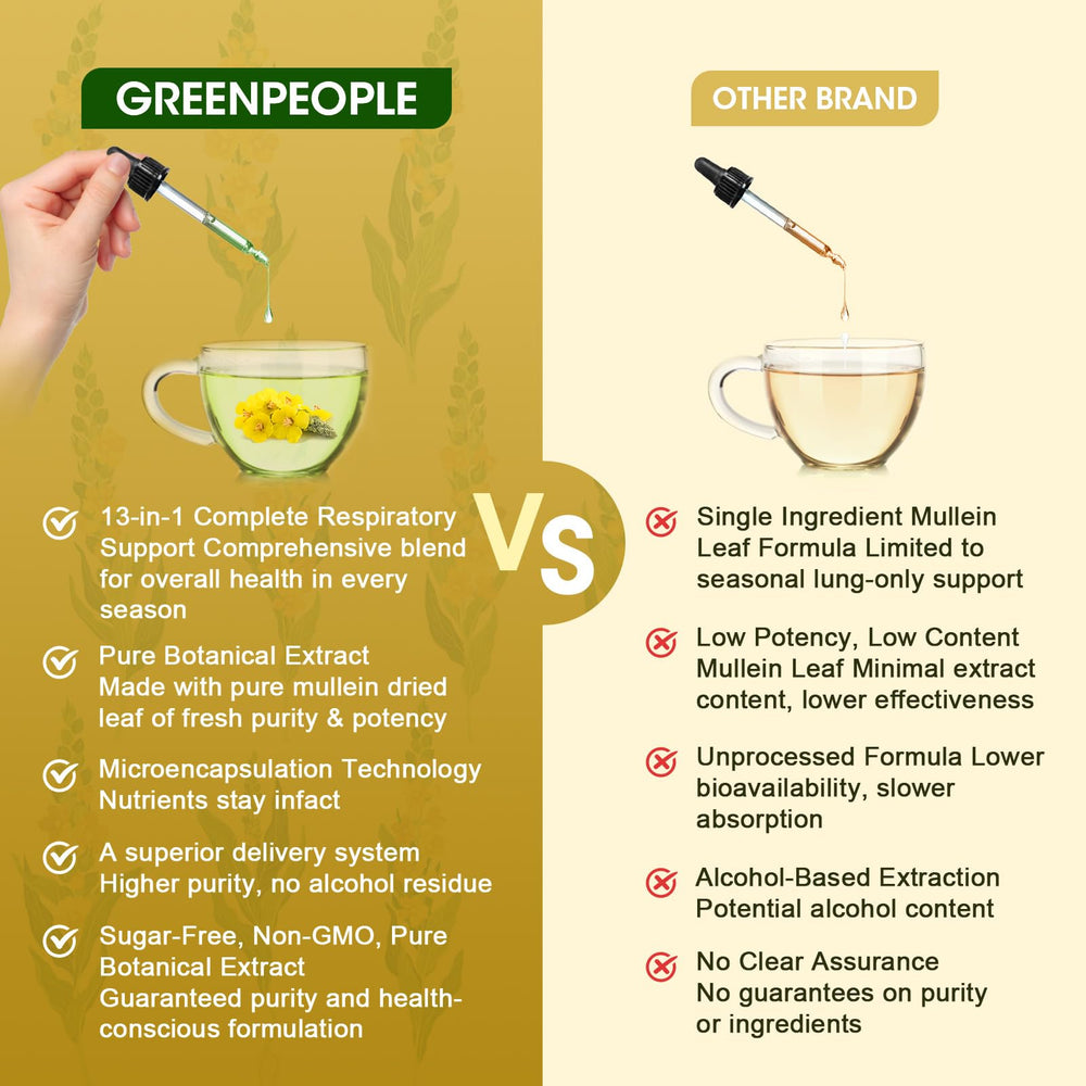 Illustration of lungs and lymphatic system supported by herbs