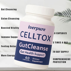 Concept image promoting gentle daily digestive support