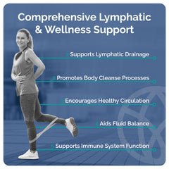 Echinacea ingredient for immune support in LymphaFlo