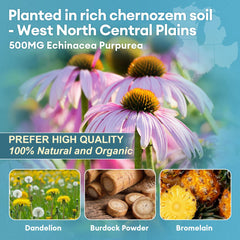 Prototype: 11-ingredient lymphatic complex formula