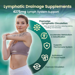 Graphic showing a 21-in-1 herbal blend for lymphatic Support