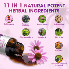 Close-up of echinacea, elderberry, cleavers herb, and burdock