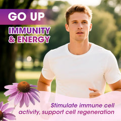 Illustration of the lymphatic system with vessels and nodes