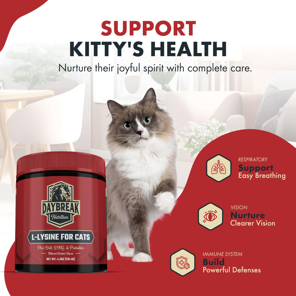 DMG 50 mg included for feline immune defense