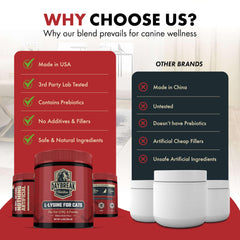 Image highlighting eye health and respiratory support for cats