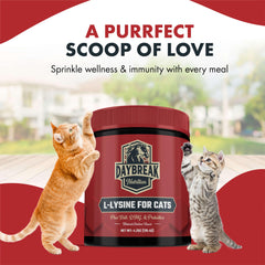 Ease-to-use powder as a food topper for cats