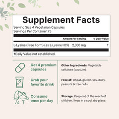 L-Lysine HCl structure bottle image