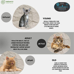 Ingredients: chicken powder and brewers yeast in L-Lysine supplement