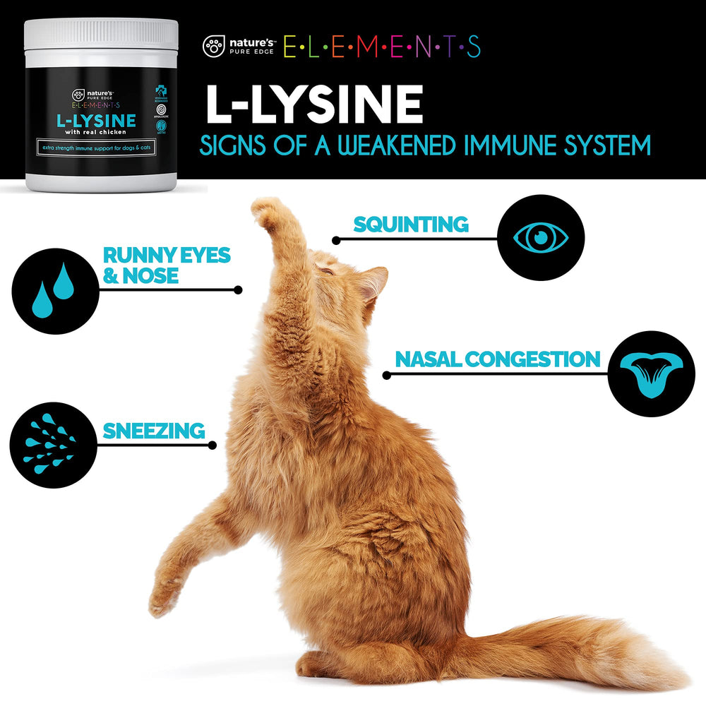 Label indicating chicken-flavored L-Lysine powder for pets