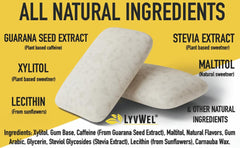 Carton image of LyvWel Energy Gum Mint flavor 12-pack