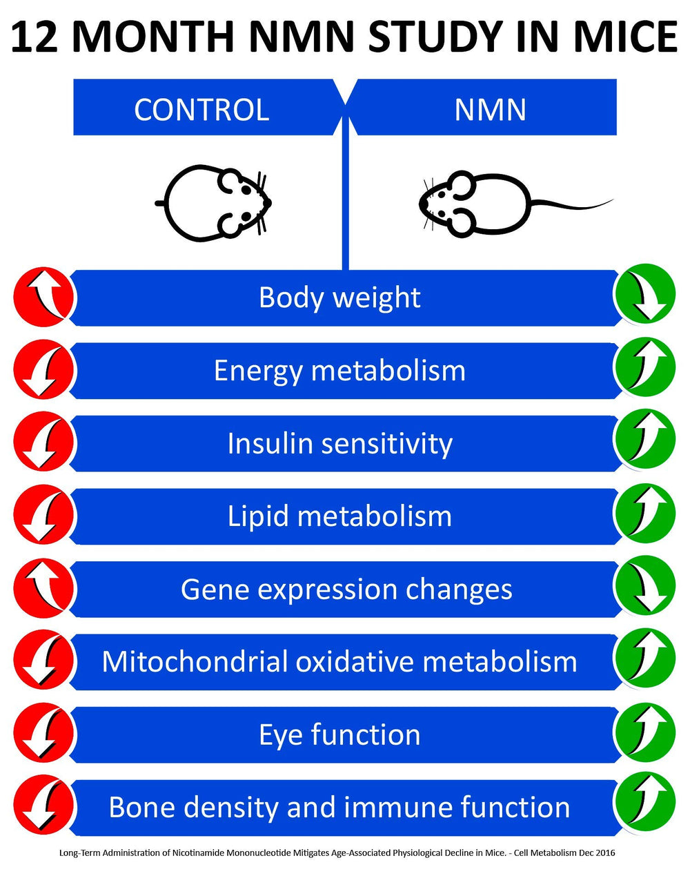Illustration of 4 NMN capsules making a 1000 mg dose