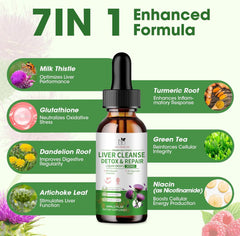 Graphic illustrating liver health and detox support