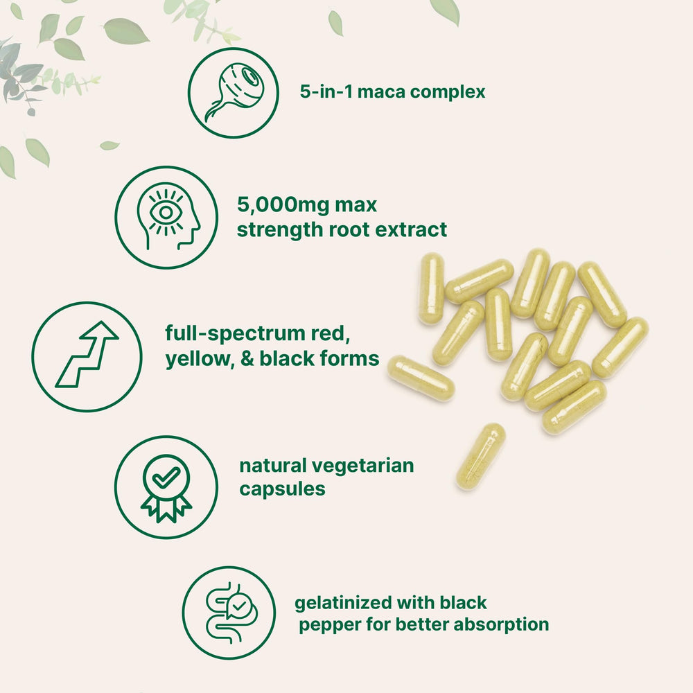 Gelatinized maca capsules designed for easy absorption