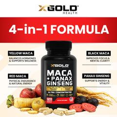 Illustration showing Maca root and Panax Ginseng