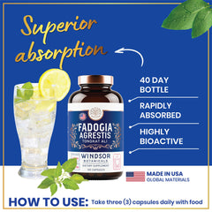 Collage of maca root, fenugreek, ashwagandha and saw palmetto ingredients
