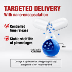 Made in Japan seal highlighting purity and safety