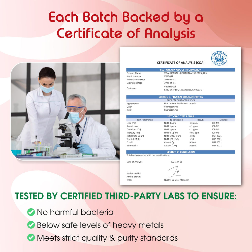 Made in USA GMP-certified facility badge