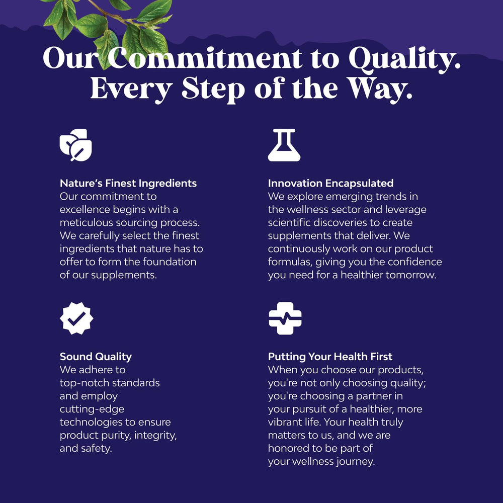 Cognitive support concept with brain imagery