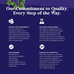 Cognitive support concept with brain imagery