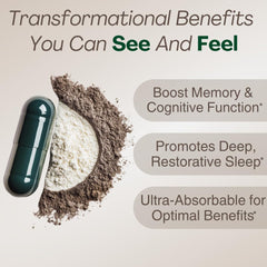 Diagram of the 7-ingredient sleep blend