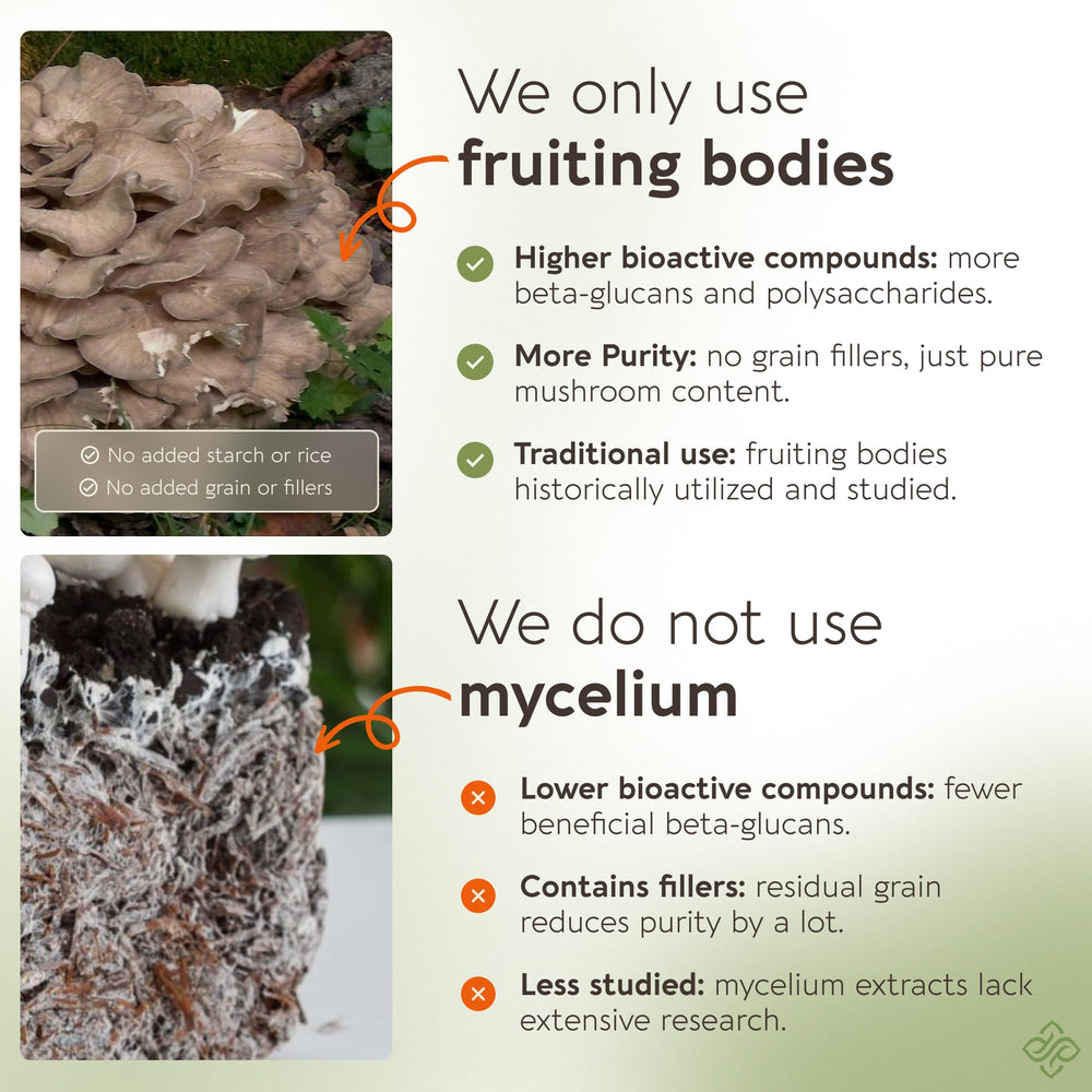 Maitake extract at 10:1 concentration