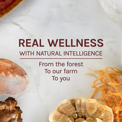 Liquid dropper of Maitake extract in bottle