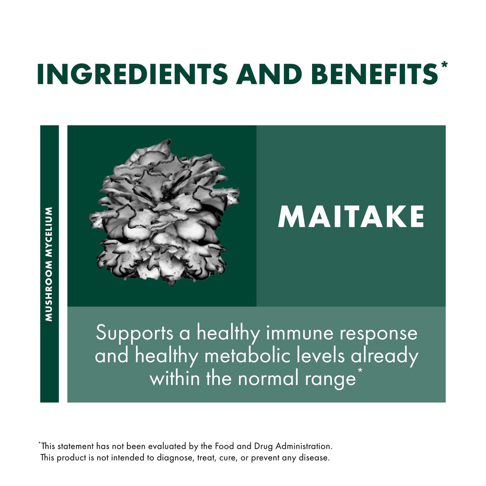 Mushroom mycelium grown on organic brown rice substrate