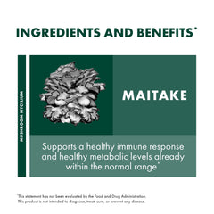 Mushroom mycelium grown on organic brown rice substrate