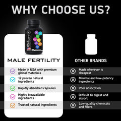 Energy and wellness formula for male fertility