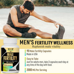 Graphic illustrating sperm health, motility and morphology benefits