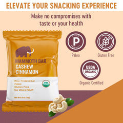 Mammoth Bar Cinnamon Cashew Mini Bar serving scene emphasizes paleo-friendly snack option