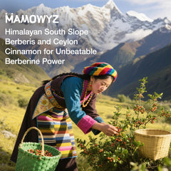 Graphic showing AMPK activation by Berberine and Cinnamon