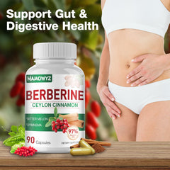 Illustration of digestive support and metabolic balance