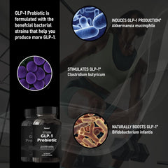 MAPUG GLP-1 Probiotic delayed-release capsule demonstrates targeted gut delivery.