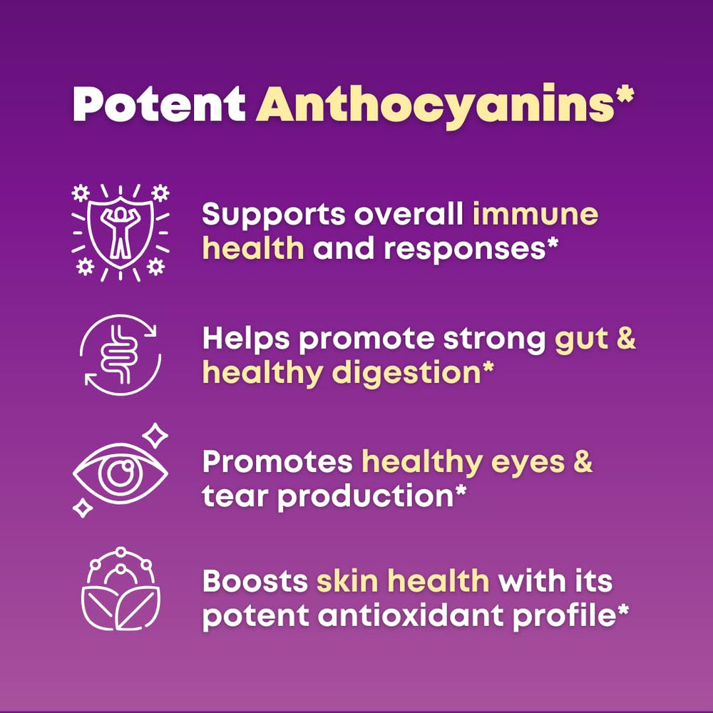Illustration of 11 berry superfood blend including Maqui Berry