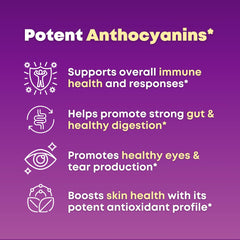 Illustration of 11 berry superfood blend including Maqui Berry
