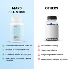 Black Seed Oil bottle beside Mars Sea Moss Caps