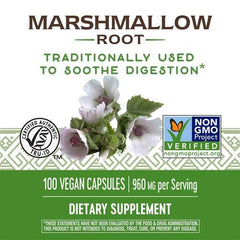 Close-up of marshmallow root capsules in gelatin shell