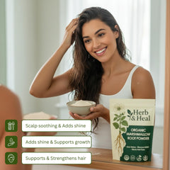 Marshmallow root powder supporting digestion and gut health