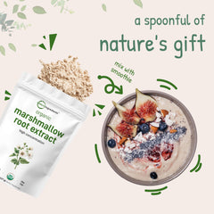 Herbal digestive health concept with marshmallow root powder