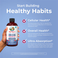 Graphic highlighting improved iron absorption