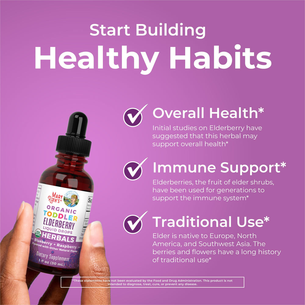 Organic elderberry illustration and branding