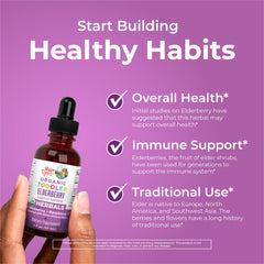 Organic elderberry illustration and branding