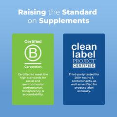 Zinc absorption liposome illustration